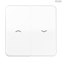 Jung BRG 12-5 PK 42 Abdeckung mit Kipphebel "Kegel" 1-fach 2 Kipphebel