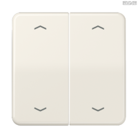 Jung BRG 12-5 PK 42 Abdeckung mit Kipphebel "Kegel" 1-fach 2 Kipphebel