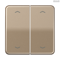 Jung BRG 12-5 PK 42 Abdeckung mit Kipphebel "Kegel" 1-fach 2 Kipphebel