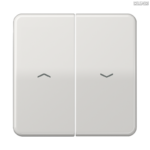 Jung BRG 12-5 PK 42 Abdeckung mit Kipphebel "Kegel" 1-fach 2 Kipphebel
