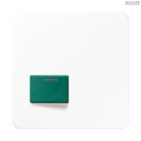 Jung BRG 12-5 PK 42 Abdeckung mit Kipphebel "Kegel" 1-fach 2 Kipphebel