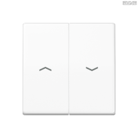 Jung BRG 12-5 PK 42 Abdeckung mit Kipphebel "Kegel" 1-fach 2 Kipphebel
