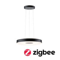 PAULMANN LED-Pendelleuchte 1LED 2700K schwarz Puric Pane 797.79 1600lm Konverter sym IP20