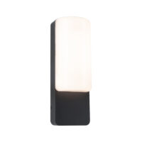 PAULMANN LED-Wandanbauleuchte 8,5W 3000K Bonnie 948.50 560lm anthrazit