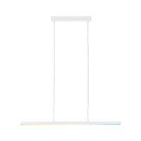 PAULMANN LED-Pendelleuchte 1LED 1800lm Lento 799.03 2700-6000K weiß asym IP20