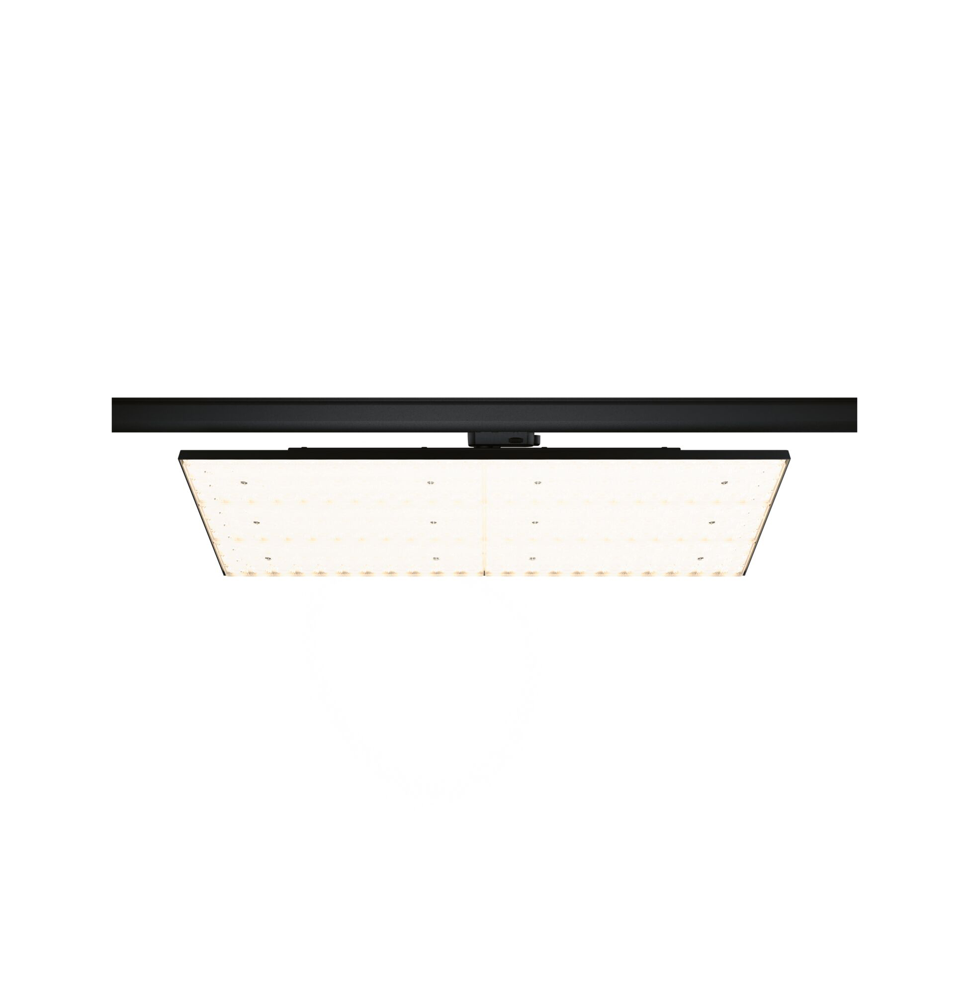 Paulmann PAULMANN LED-Schienenstrahler 80W 1LED Deck 965.82 schwarz 3000K weiß 6660lm schwarz matt