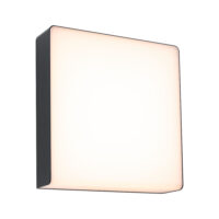 PAULMANN LED-Wandanbauleuchte 10W 3000K Azalena 948.40 700lm anthrazit