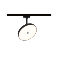 PAULMANN LED-Schienenstrahler 15W 1LED Hildor 967.89 schwarz 3000K weiß 850lm schwarz matt