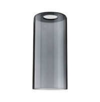 PAULMANN Schirm grau sym direkt Glas Raja 956.07 Ø100x210mm