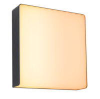 PAULMANN LED-Anbauleuchte 10W 2200-3000K Azalena Insect 948.42 700lm anthrazit