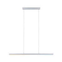 PAULMANN LED-Pendelleuchte 1LED 1800lm Lento 799.02 2700-6000K chr asym IP20