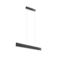 PAULMANN LED-Pendelleuchte 2LEDs 2700-0K Jagun 799.95 2500lm Konverter anthrazit sym IP20