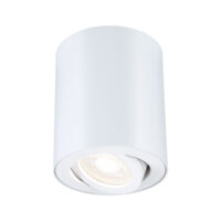 PAULMANN LED-Anbaustrahler 5W 1LED weiß 714.45 GU10 matt Aluminium IP44