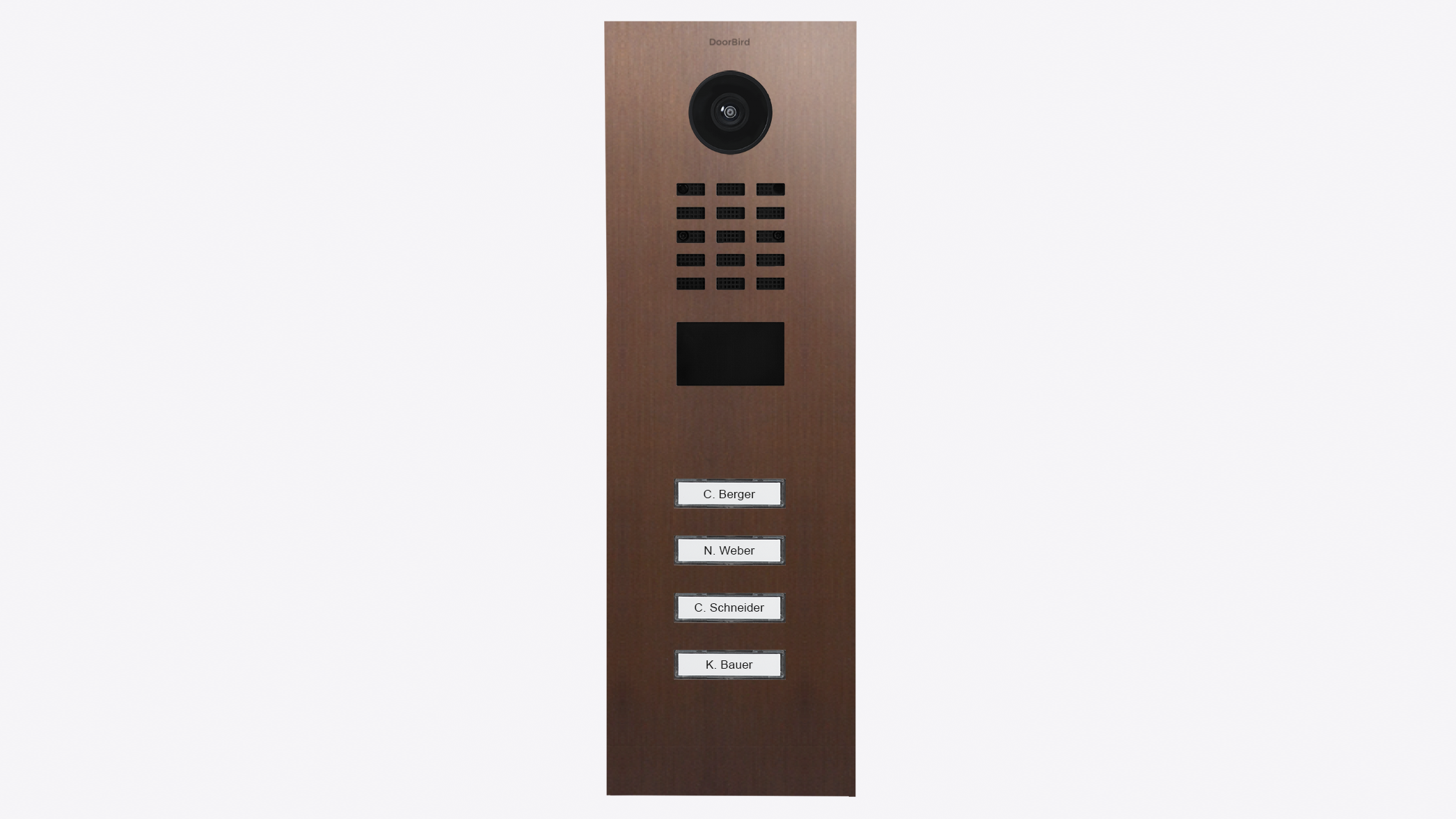 DoorBird D2204V IP Video Türsprechanlage – Echte Baubronze