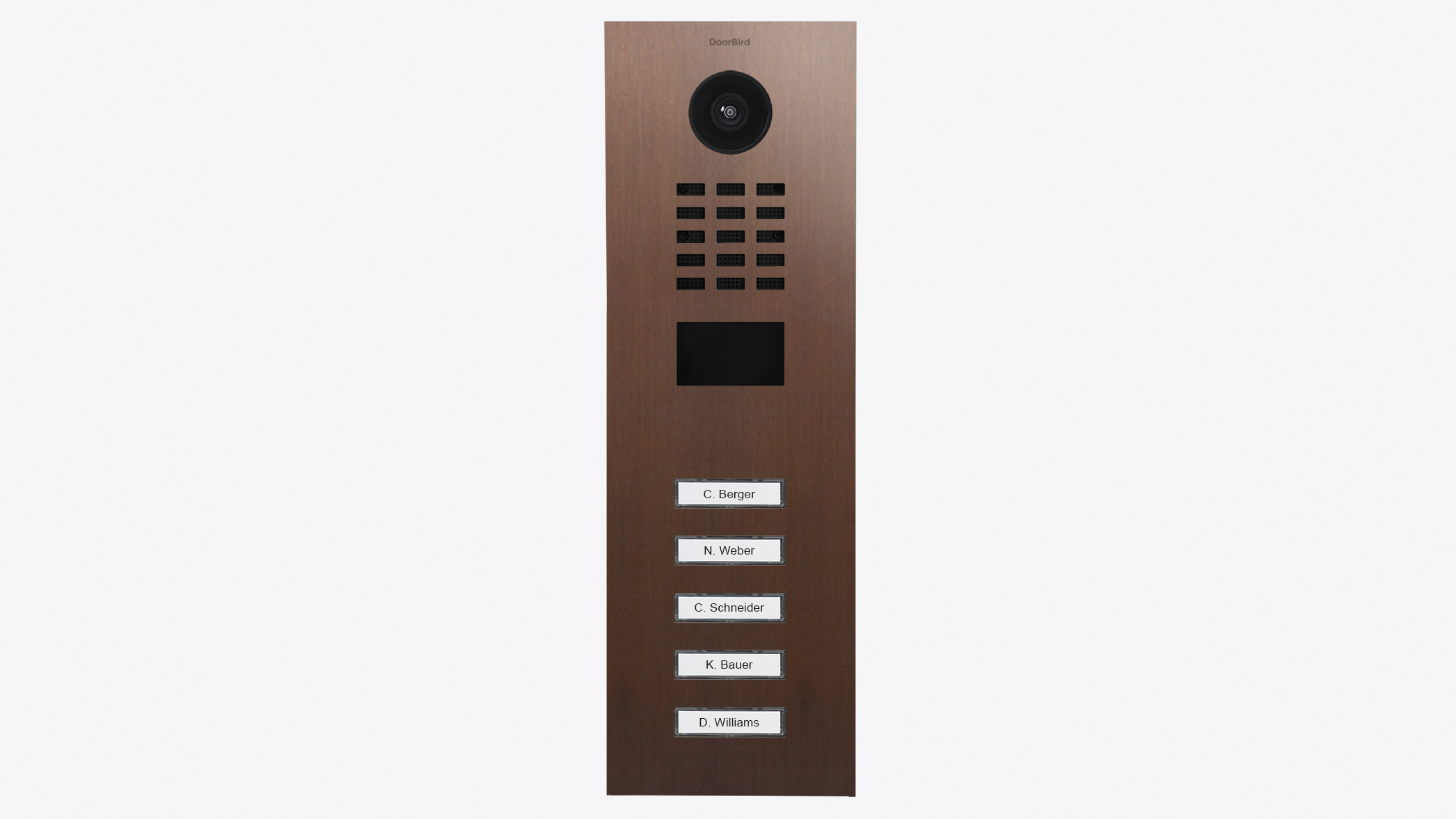 DoorBird D2105V IP Video Türsprechanlage – Echte Baubronze
