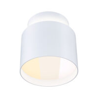 PAULMANN LED-Anbaustrahler 12W 1LED weiß 714.32 2700-4000K weiß 1050lm weiß matt Aluminium