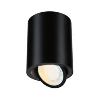 PAULMANN LED-Anbaustrahler 5W 1LED schwarz weiß 714.42 2700-4000K 480lm schwarz matt Aluminium IP44
