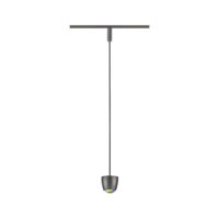PAULMANN LED-Pendelleuchte 1LED 200lm ti 958.00 2700-6500K Konverter sym IP20