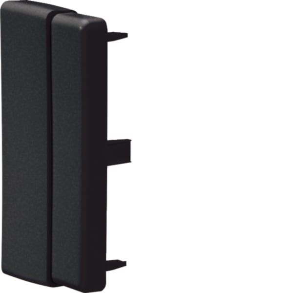 HAGER Endstück LF-K 110x60mm li/re Kunststoff LFF6011069011 hfr gra-schwarz RAL9011